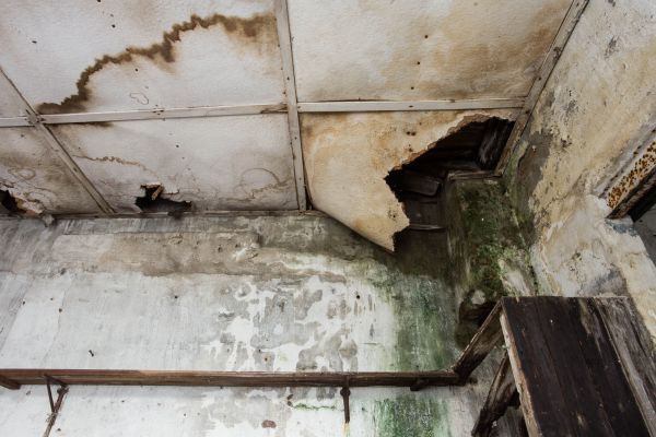 Cost of Water Damage Service in Anaheim