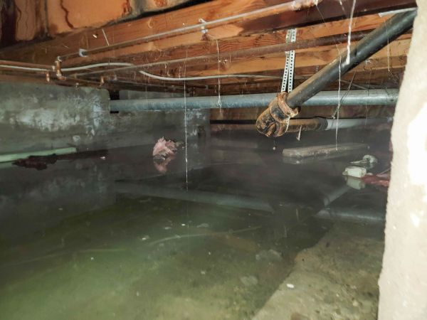 Cost of Water Mitigation Service in Anaheim